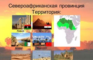 Презентация по географии на тему: Народы Африки (7 класс) Народы центральной африки презентация